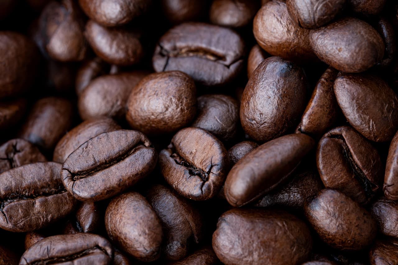 Roasted coffee beans, close up