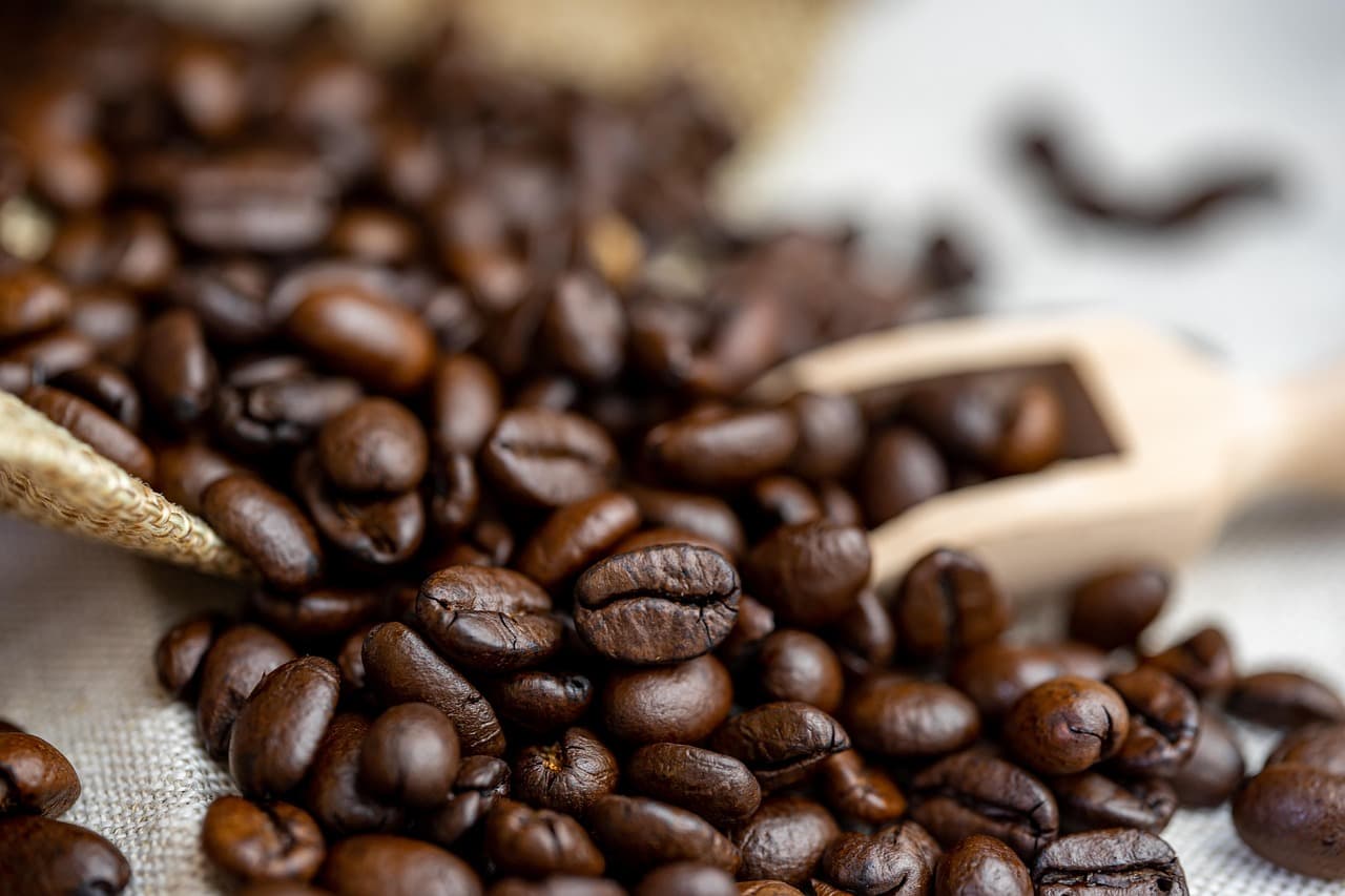Roasted coffee beans with a wooden scoop